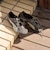 【別注】＜PUMA＞SPEEDCAT GO スニーカー
