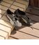 【別注】＜PUMA＞SPEEDCAT GO スニーカー