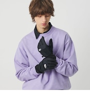 ＜THE NORTH FACE＞デナリ イーチップ グローブ