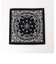 TOWEL BANDANA ハンカチ 18S