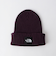 ＜THE NORTH FACE＞ロゴ ビーニー