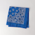 ＜HAV-A-HANK＞BANDANNA バンダナ