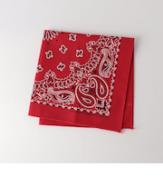 ＜HAV-A-HANK＞BANDANNA バンダナ