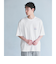 【別注】＜ハイチュウ × FRUIT OF THE LOOM × GLR＞半袖  Tシャツ