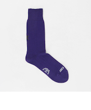 【別注】＜ROSTER SOX＞GLR 1STAR ソックス