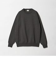 A+ MOULINE ポリエステル クルーネック ニット -ウォッシャブル-