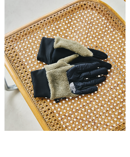 ＜THE NORTH FACE＞デナリ イーチップ グローブ