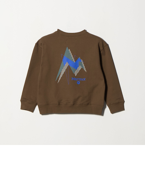 【別注】＜Marmot＞スウェット / トレーナー / キッズ  120cm-130cm