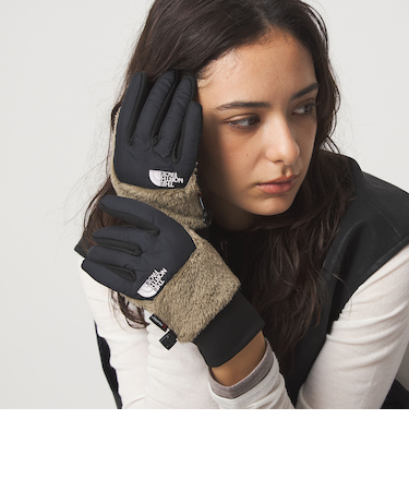 ＜THE NORTH FACE＞デナリイー チップ グローブ