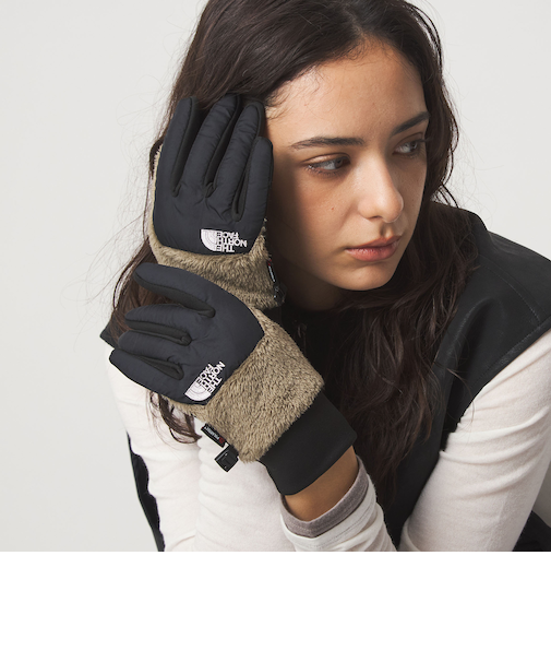 ＜THE NORTH FACE＞デナリイー チップ グローブ