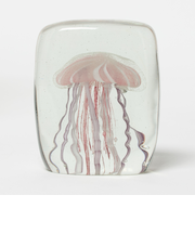 <HERE by DETAIL>ジェリーフィッシュ ツイストレッグ スクエア オブジェ