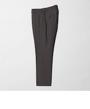 A+ ポリエステル シャークスキン スタンダード イージー セットアップ パンツ スラックス -ウォッシャブル・ストレッチ-