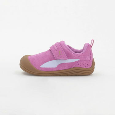 ＜PUMA＞キッテン スニーカー / KITTEN / キッズ  14cm-16cm