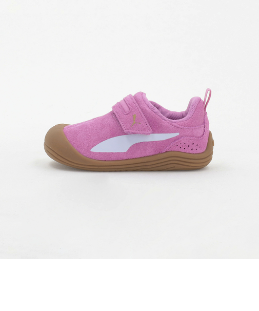 ＜PUMA＞キッテン スニーカー / KITTEN / キッズ  14cm-16cm