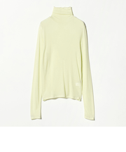 レディ シアー タートルネック カットソー