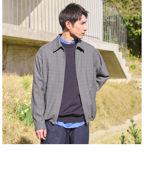 TW マイクロチェック ブルゾン｜グリーンレーベル リラクシングの通販