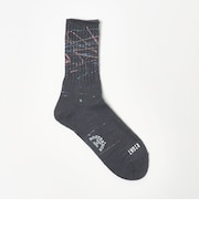 【別注】＜ROSTER SOX＞ ペイントソックス