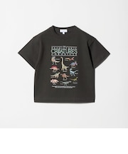 ダイナソー Tシャツ / キッズ  100cm-130cm