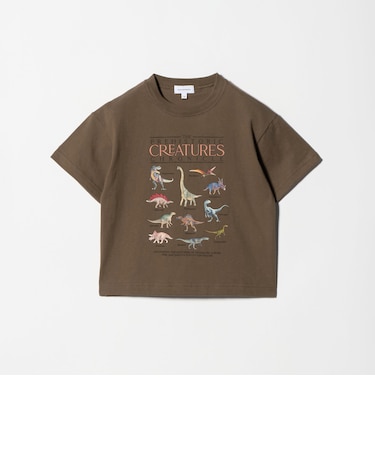 ダイナソー Tシャツ / キッズ  100cm-130cm