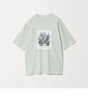 <Phospho Graphica>グラフィック 半袖 Tシャツ カットソー