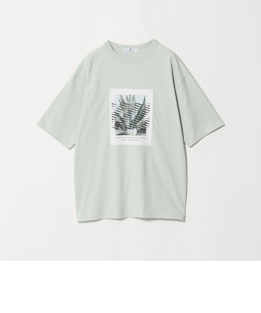 <Phospho Graphica>グラフィック 半袖 Tシャツ カットソー