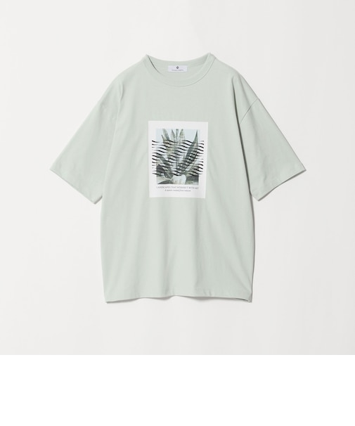 <Phospho Graphica>グラフィック 半袖 Tシャツ カットソー