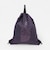 【WEB限定】＜THE NORTH FACE＞ピーエフ サックパック（13L）