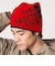 【WEB限定】＜THE NORTH FACE＞リバーシブルTNFバナービーニー ニットキャップ
