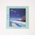 【別注】＜Adult Oriented Records×LGR×NAGAI×CITEN＞12EP