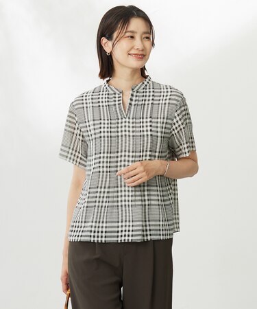 【WEB限定カラーあり・洗える】シアーチェック カットソー