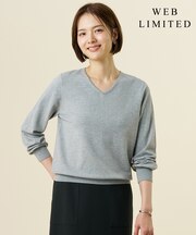 【WEB限定・人気定番アイテム・シーンレスに活躍】PRINCE Vネック ニット