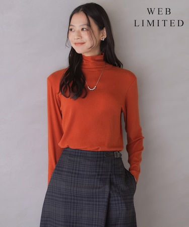 【レイヤードスタイルに・WEB限定カラーあり】カシミヤシルク シアーリブ タートル カットソー