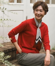 SOFT TOUCH WOOL Vネック ニット
