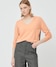 Apricot×Slate