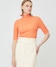 Apricot×White