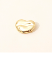 ニュアンスプレートブローチ