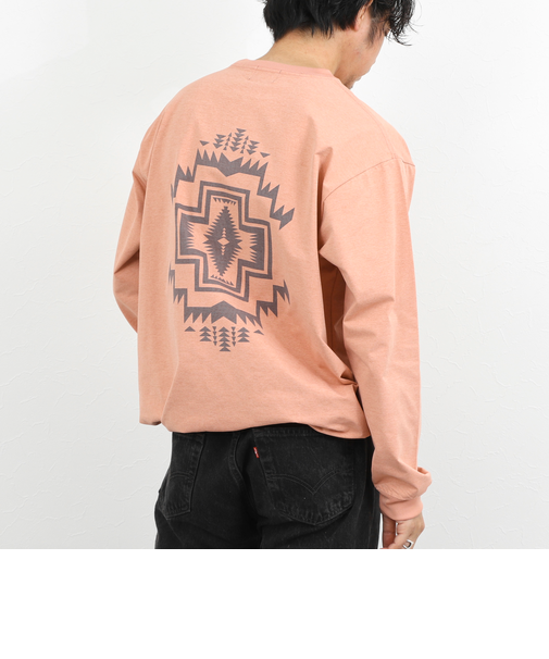 【PENDLETON/ペンドルトン】CALCULO Back Print L/S Tee 26SS