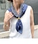 【AENEIS/エイネス】MINIMAL ILLUSION SILK SCARF & SHAWL