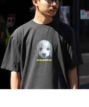 【新柄追加】【GLOSTER/グロスター】DOG&CAT 犬猫プリント ピグメント プリントTシャツ