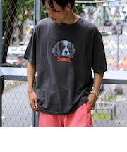 【新柄追加】【GLOSTER/グロスター】DOG&CAT 犬猫プリント ピグメント プリントTシャツ