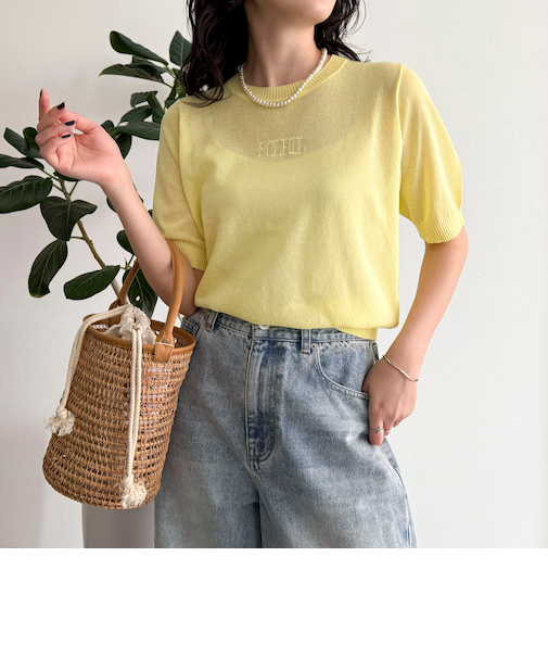 シアー刺繍ロゴニットプルオーバー