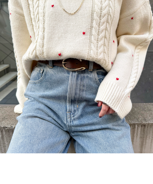 Cバックルベルト2