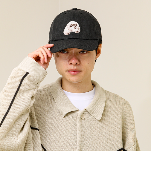 【カラー追加して再登場】WASHED DOG embroidery CAP