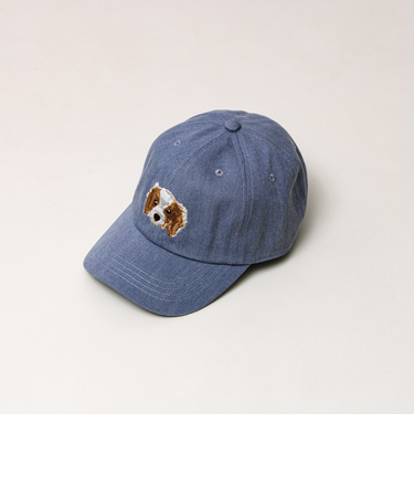 【カラー追加して再登場】WASHED DOG embroidery CAP