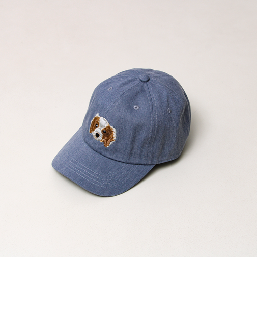【カラー追加して再登場】WASHED DOG embroidery CAP