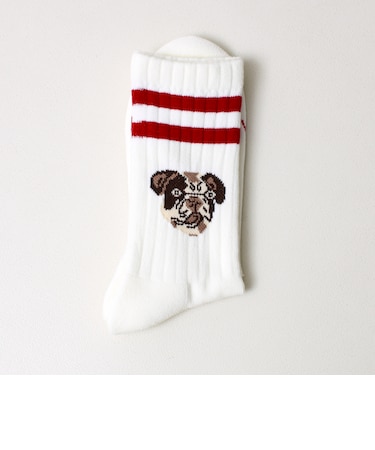 【ROSTER SOX/ロスターソックス】DOG