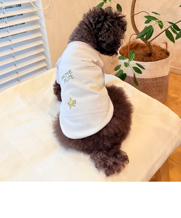 【FR PETS】メッセージ配色Tシャツ