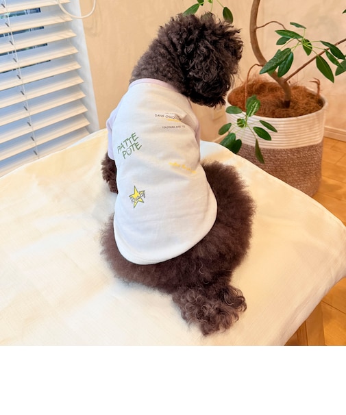 【FR PETS】メッセージ配色Tシャツ
