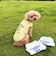【FR PETS】接触冷感カレッジタンクトップ