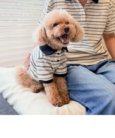 【FR PETS】マルチボーダーポロシャツ